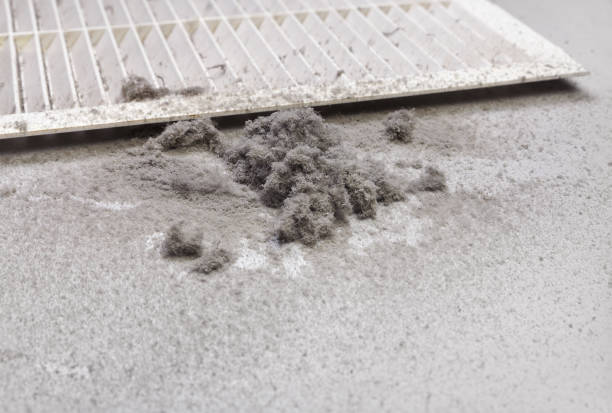 Best Emergency Air Duct Cleaning  in Shelbyville, IN