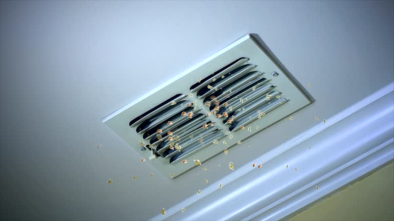 Best Professional Duct Cleaning Services  in Shelbyville, IN