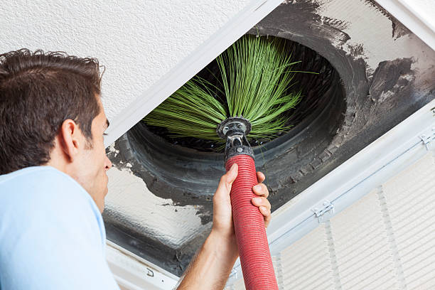 Best Residential Air Duct Cleaning  in Shelbyville, IN