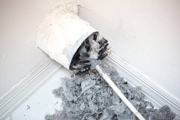 Best Professional Duct Cleaning Services  in Shelbyville, IN